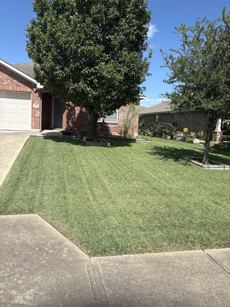 Reliable lawn mowing service experts serving Buda, TX - Tirado Landscaping