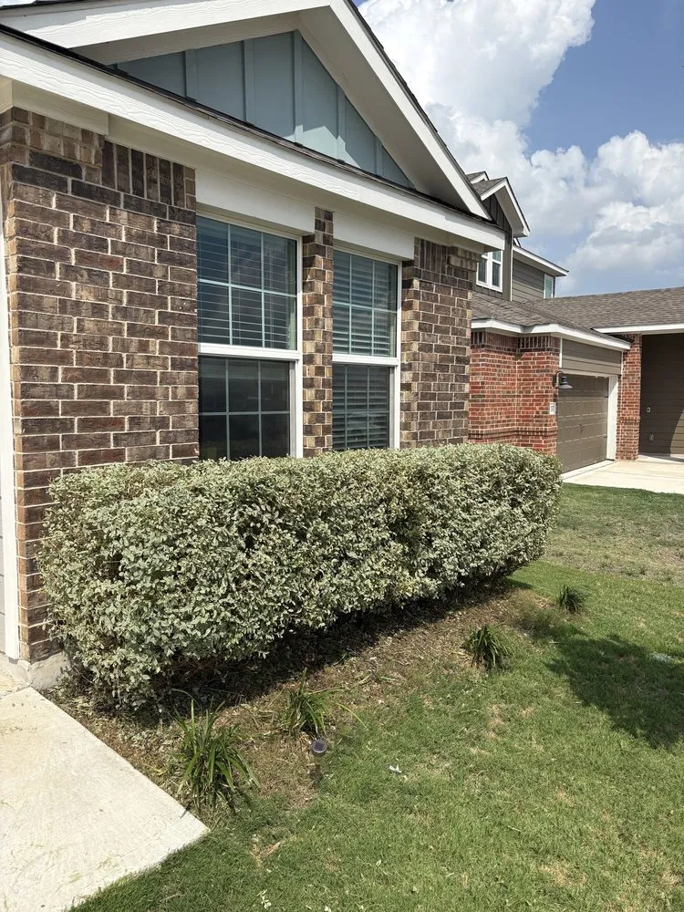 Top-rated lawn care service for outdoor upgrades in Buda, TX by Tirado Landscaping