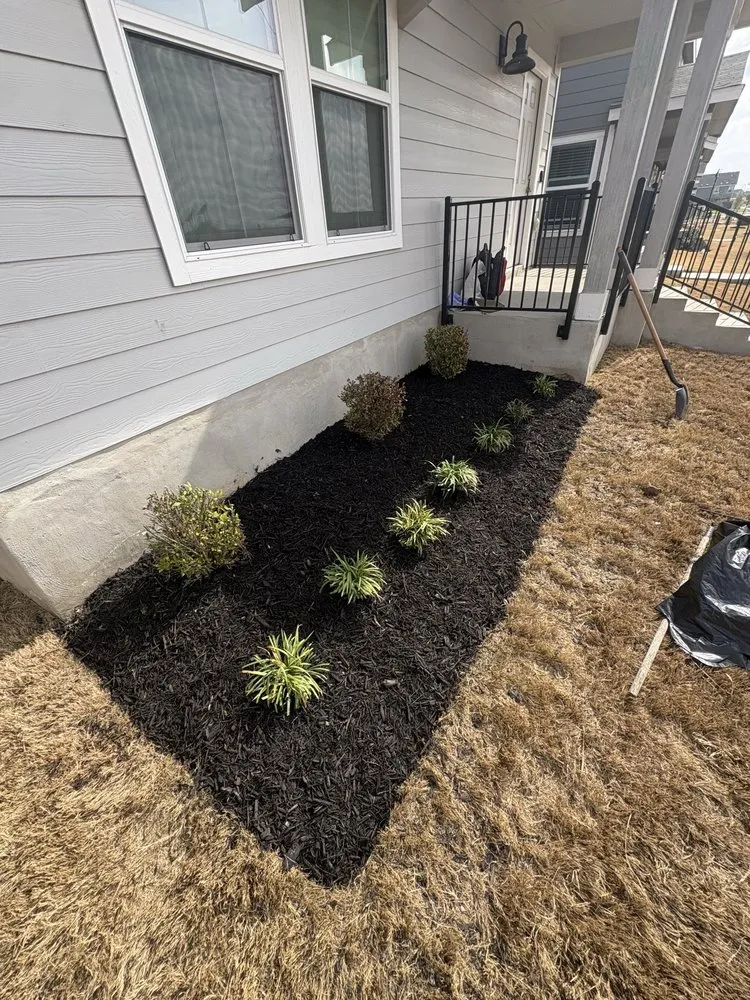 Custom yard maintenance for beautiful yards across Buda, TX - Tirado Landscaping