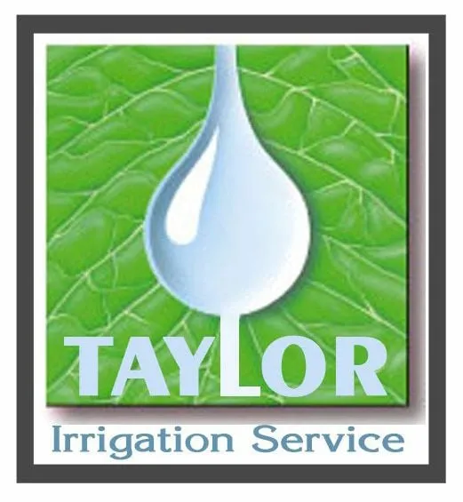 Reliable yard cleanup service experts serving Houston, TX - TIS Services