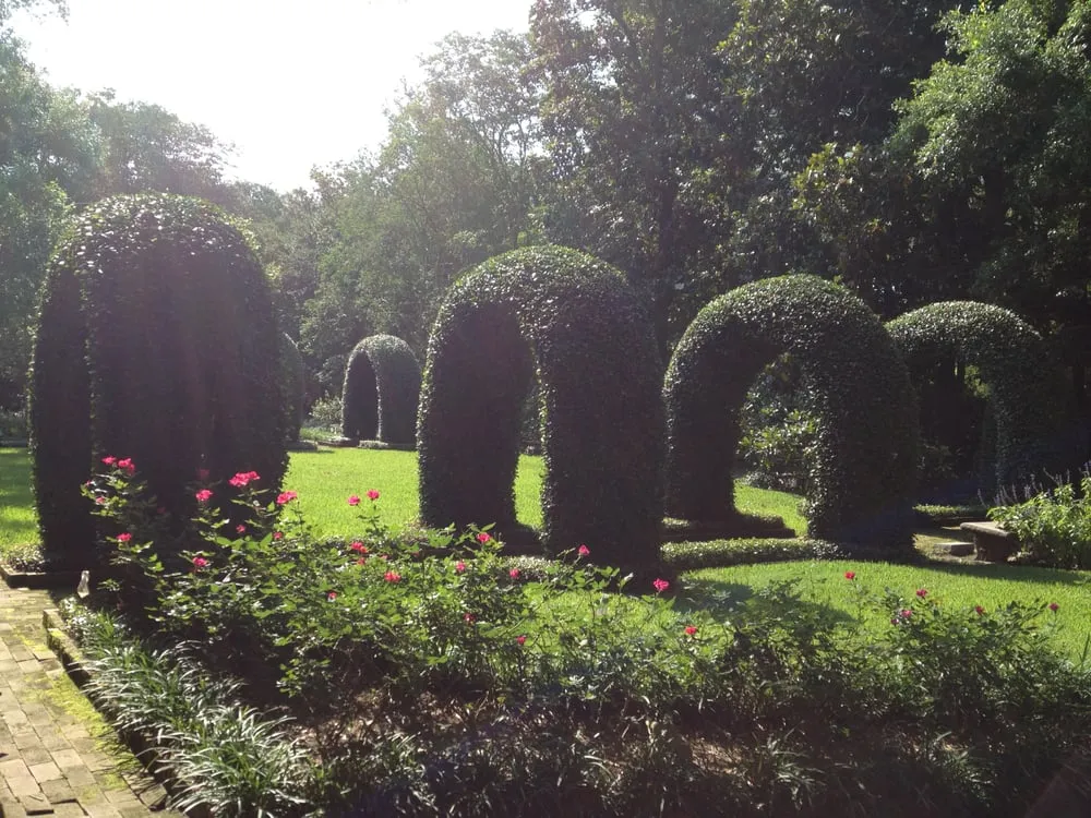 Local landscape installation experts serving Houston, TX - TIS Services