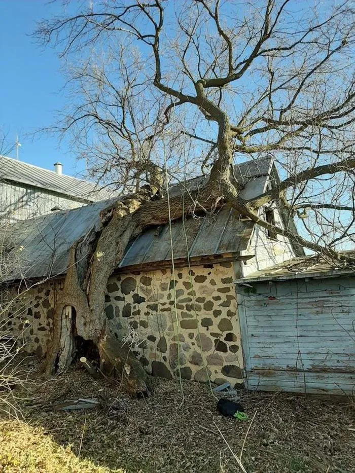 Professional landscape design experts serving Sullivan, WI - Tischer's Tree & Landscape