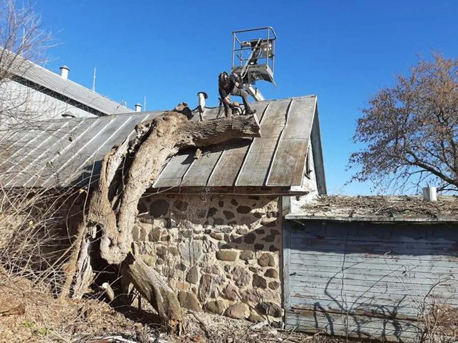 Custom yard cleanup service with custom design in Sullivan, WI by Tischer's Tree & Landscape