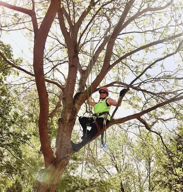 Top-rated lawn care service for homes in Sullivan, WI by Tischer's Tree & Landscape