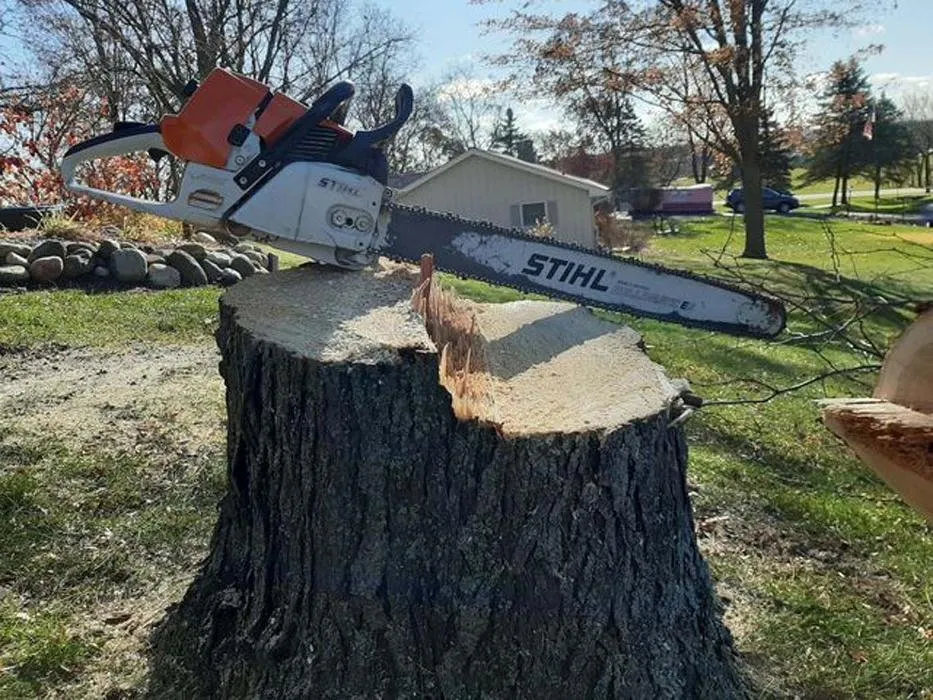 Professional garden landscaping with custom design in Sullivan, WI by Tischer's Tree & Landscape