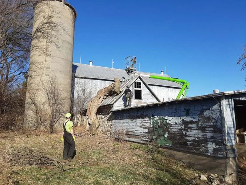 Trusted landscape installation experts serving Sullivan, WI - Tischer's Tree & Landscape