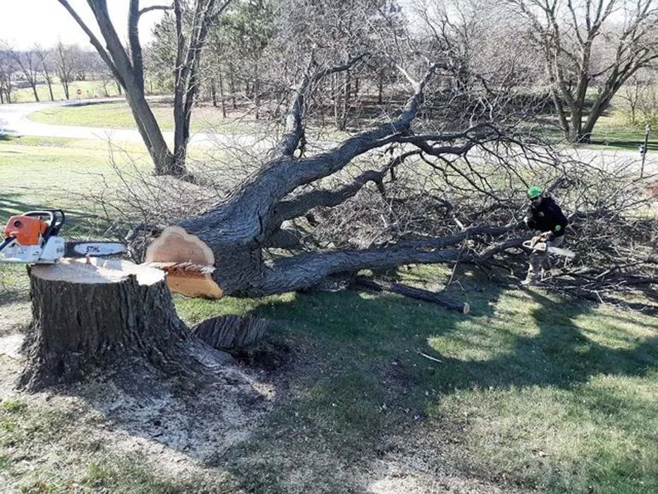 Local landscaping services with custom design in Sullivan, WI by Tischer's Tree & Landscape