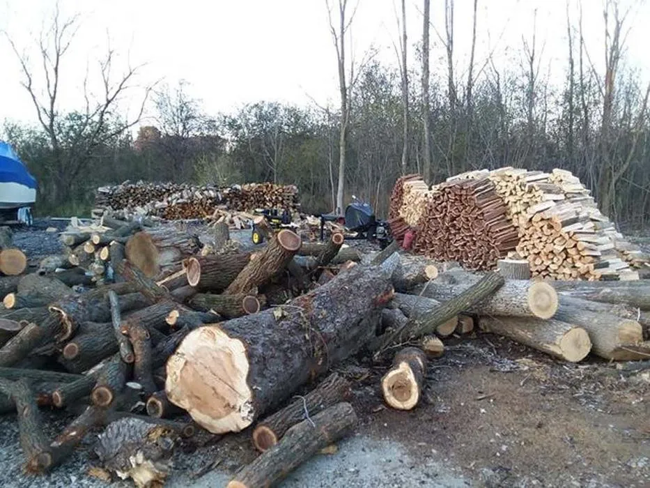 Professional landscape design for beautiful yards in Sullivan, WI by Tischer's Tree & Landscape