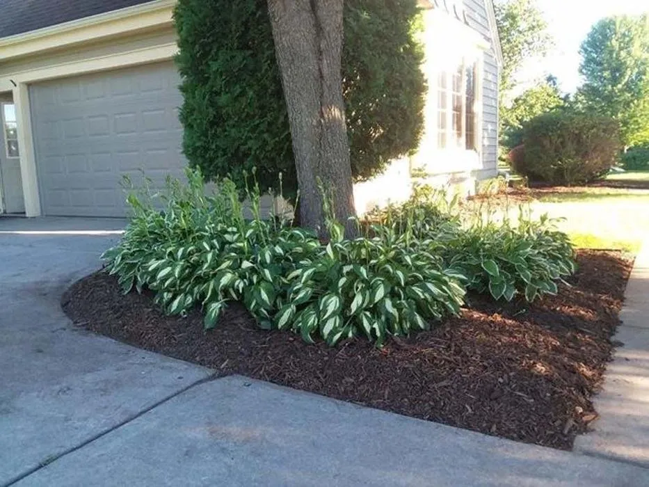 Trusted outdoor landscaping experts serving Sullivan, WI - Tischer's Tree & Landscape