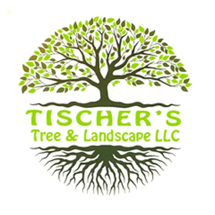 Local lawn mowing service experts serving Sullivan, WI - Tischer's Tree & Landscape