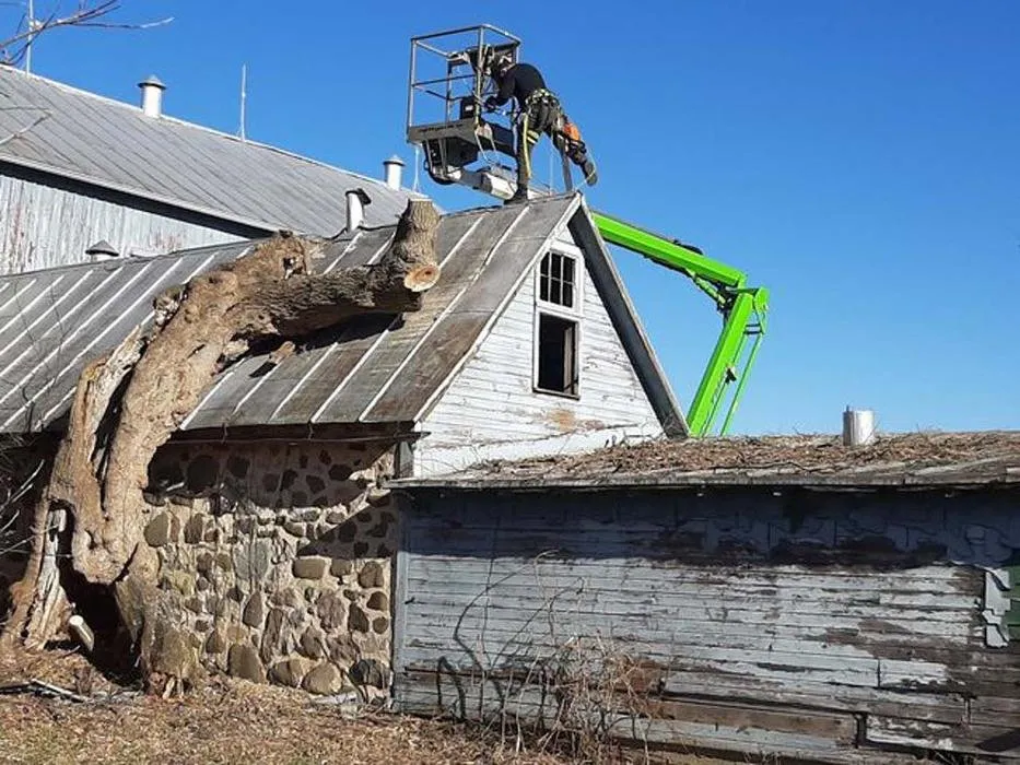 Custom landscape installation in Sullivan, WI - Tischer's Tree & Landscape
