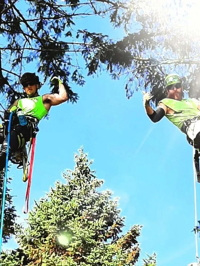 Trusted lawn care service in Sullivan, WI by Tischer's Tree & Landscape