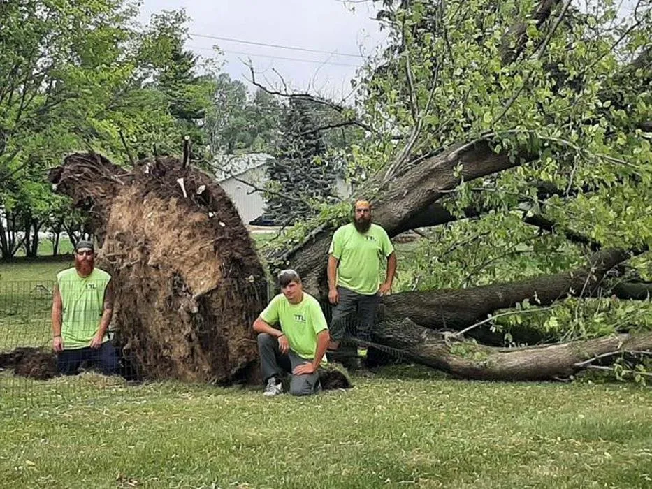 Custom landscaping services experts serving Sullivan, WI - Tischer's Tree & Landscape