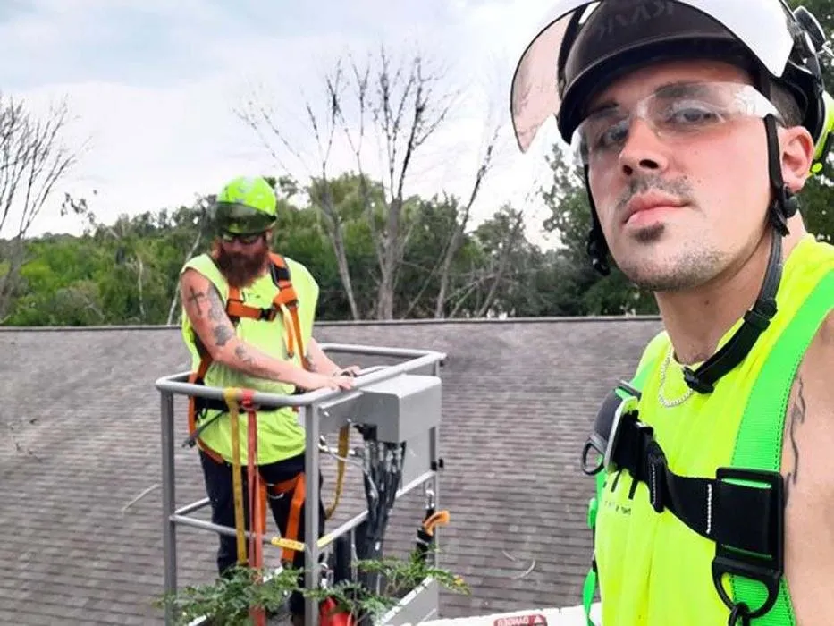 Local landscaping services experts serving Sullivan, WI - Tischer's Tree & Landscape