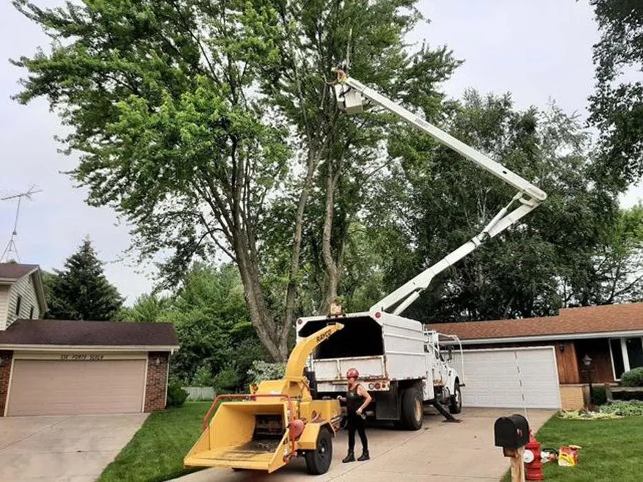 Custom landscape installation experts serving Sullivan, WI - Tischer's Tree & Landscape