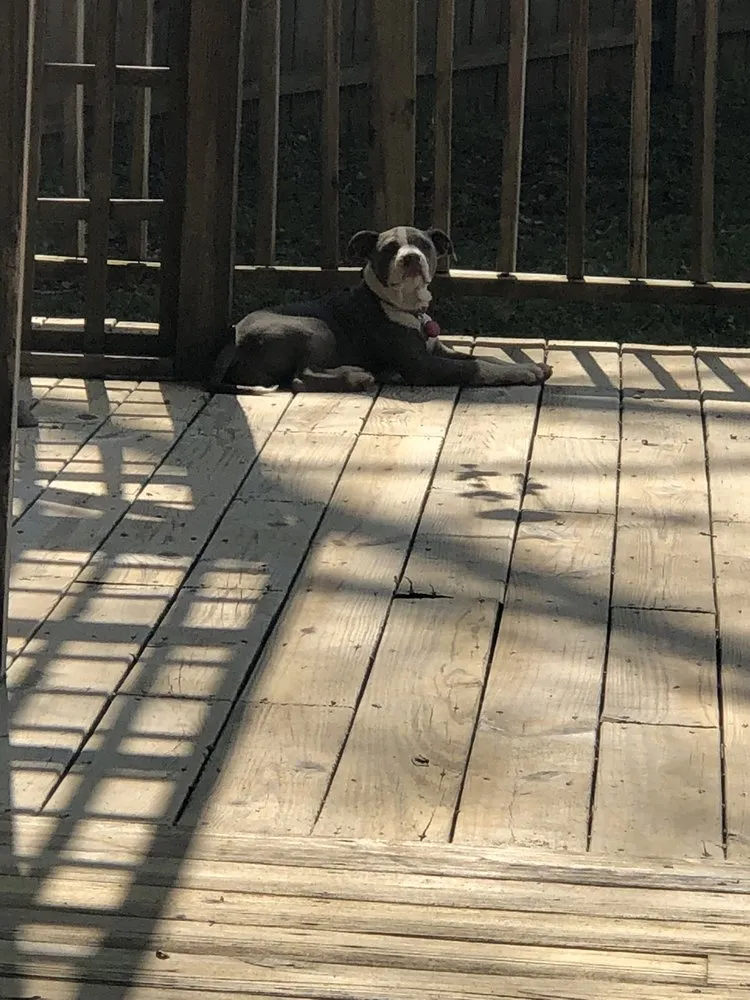 Affordable residential landscaping experts serving Cartersville, GA - Tisdale Lawn Service & Pressure Washing