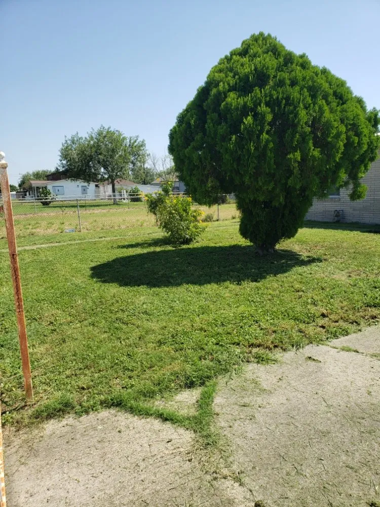 Reliable lawn care service in Mercedes, TX - Tisdales Lawn Care and Landscaping Solutions