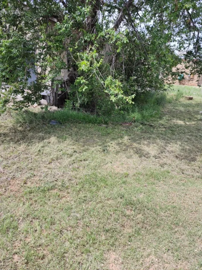 Affordable lawn care service in Lubbock, TX by Titan Cuts