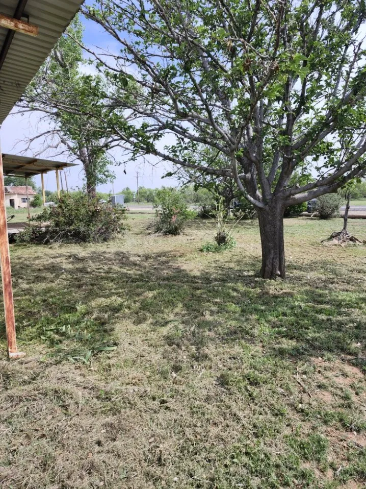 Expert lawn care service experts serving Lubbock, TX - Titan Cuts