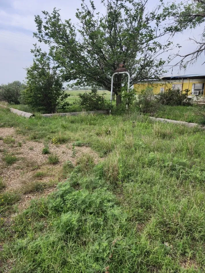 Custom landscape installation in Lubbock, TX by Titan Cuts