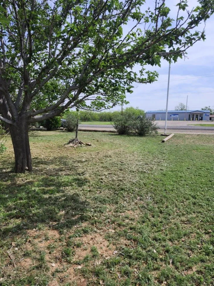 Affordable outdoor landscaping in Lubbock, TX - Titan Cuts