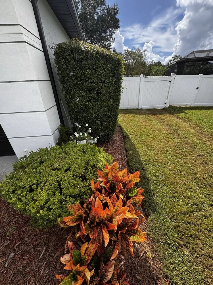 Expert landscape installation in Winter Garden, FL - Titan Green Services