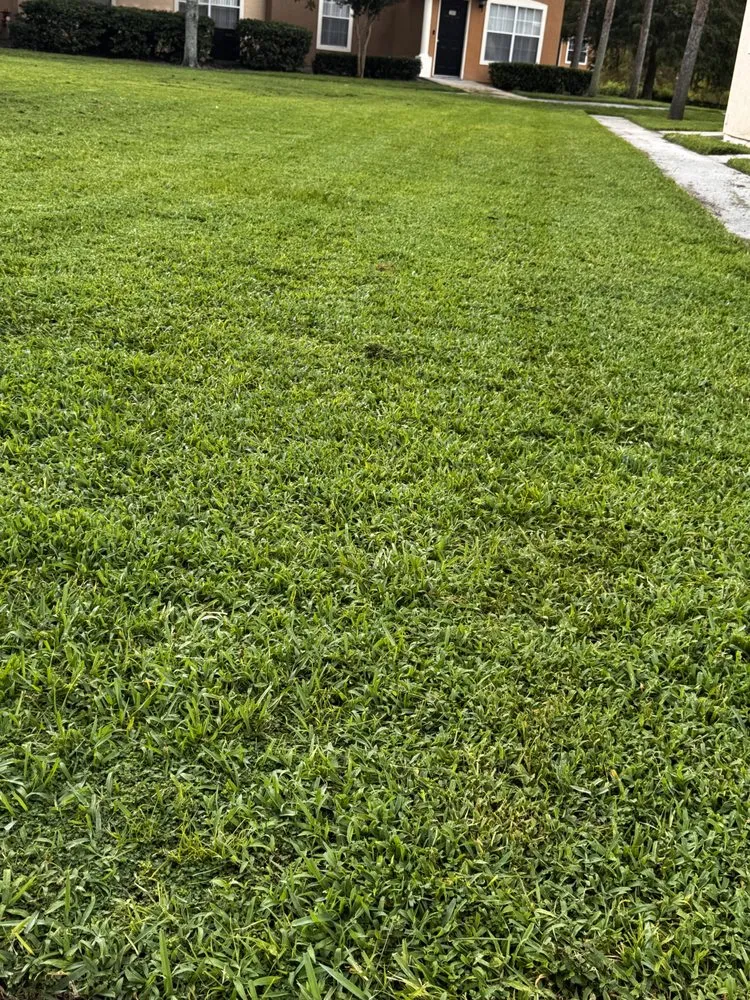 Custom lawn mowing service for beautiful yards in Winter Garden, FL by Titan Green Services