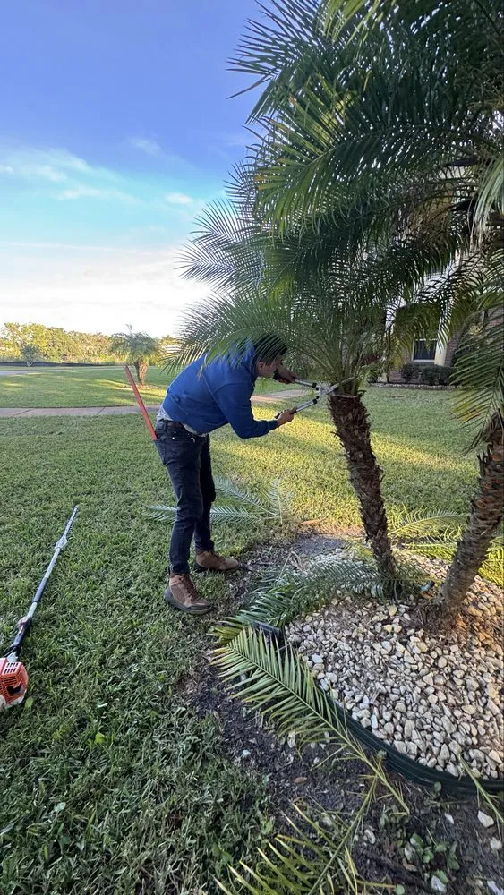 Local landscape design in Winter Garden, FL - Titan Green Services