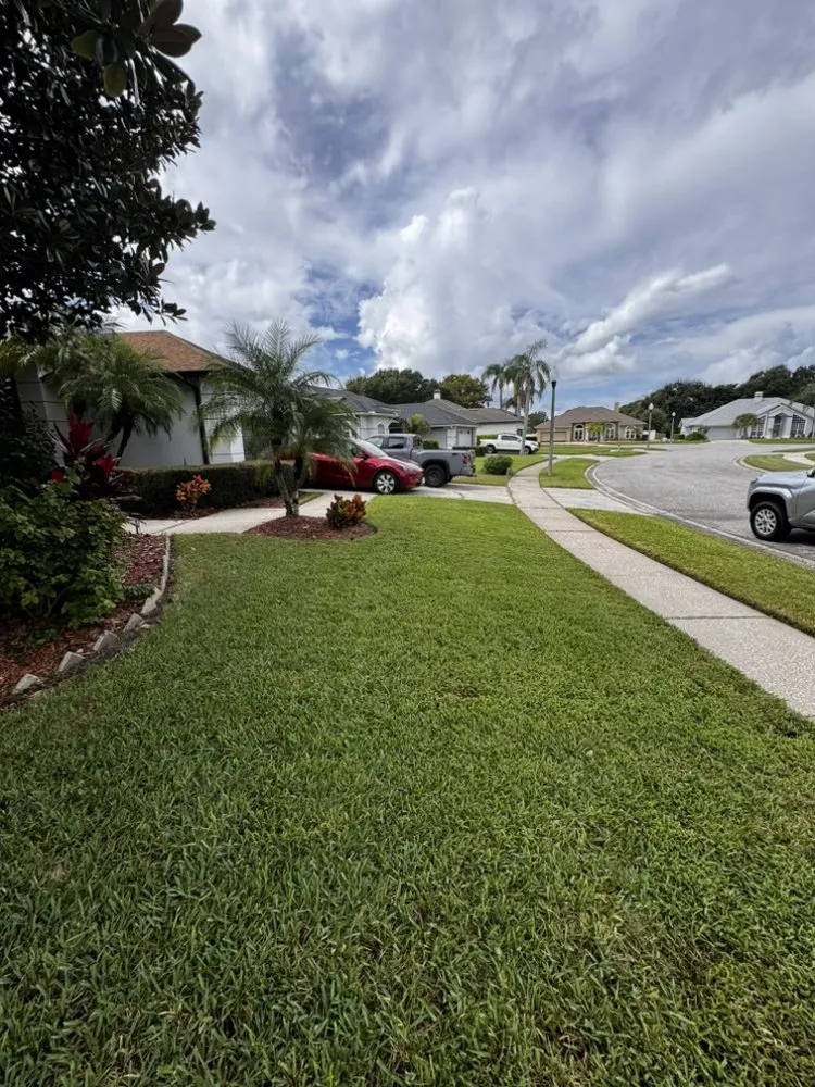 Reliable landscape installation experts serving Winter Garden, FL - Titan Green Services