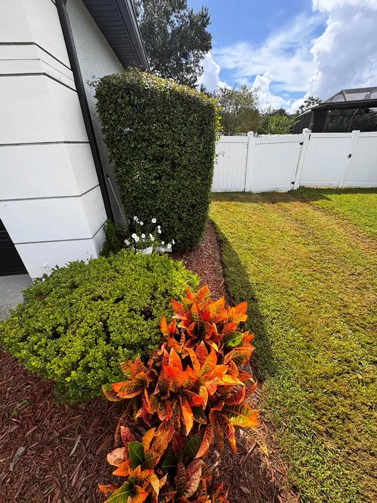 Expert landscape design in Winter Garden, FL by Titan Green Services