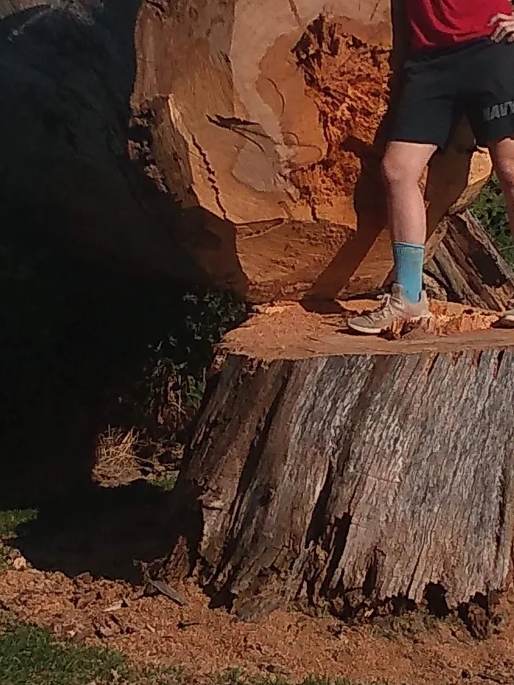 Custom residential landscaping for homes across Piggott, AR - Titan handyman and lawncare