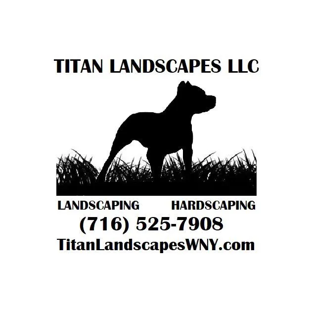 Custom yard cleanup service with custom design in Williamsville, NY by Titan Landscapes