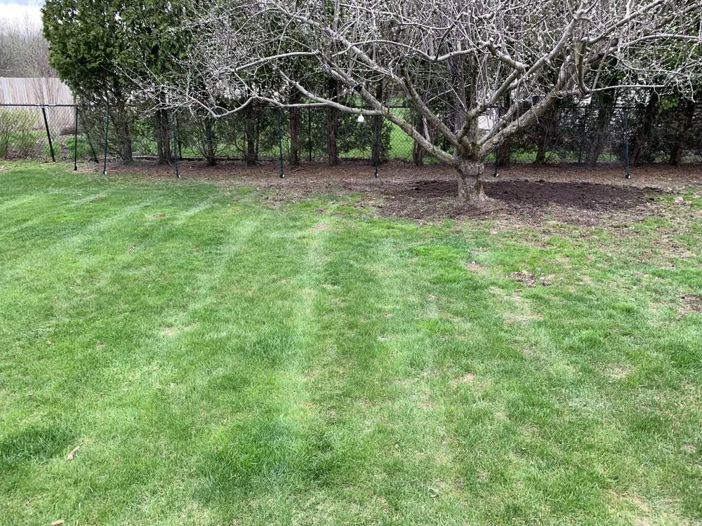 Professional garden landscaping experts serving Williamsville, NY - Titan Landscapes