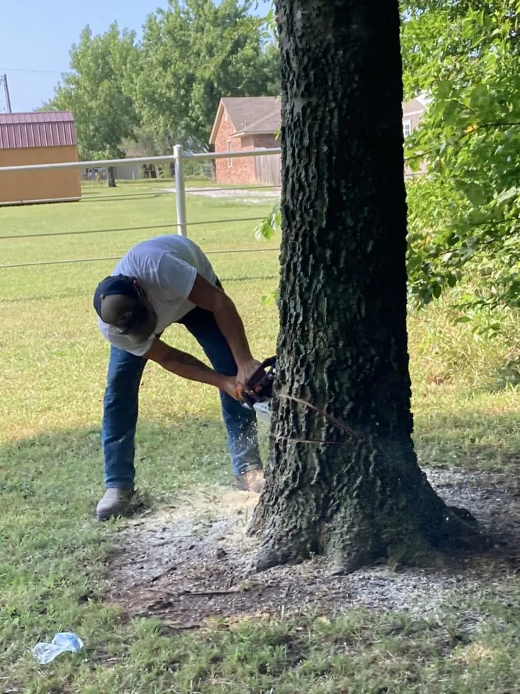 Top-rated outdoor landscaping in Oklahoma City, OK by Titan Landscaping & Tree Service