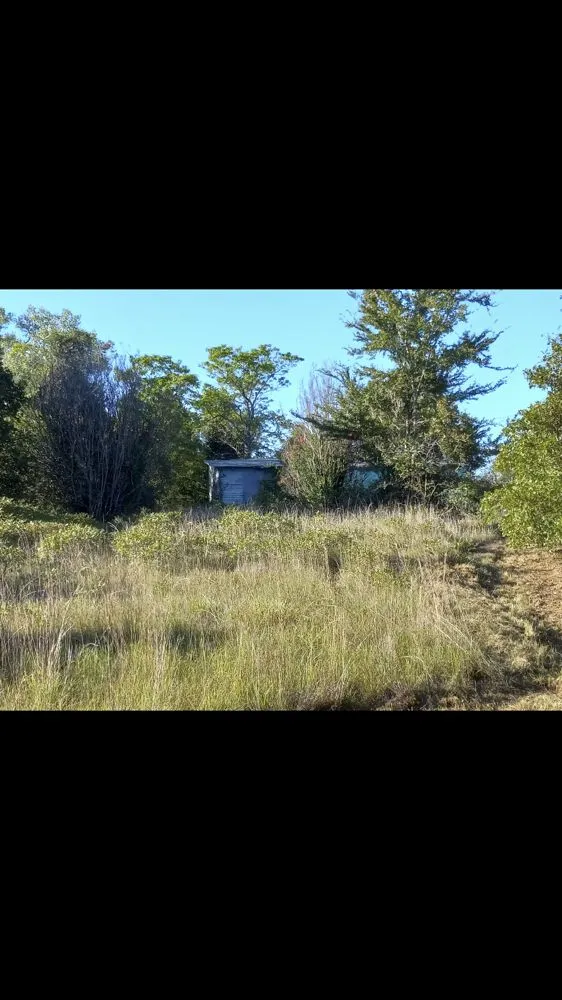 Expert garden landscaping for residential properties across Oklahoma City, OK - Titan Landscaping & Tree Service