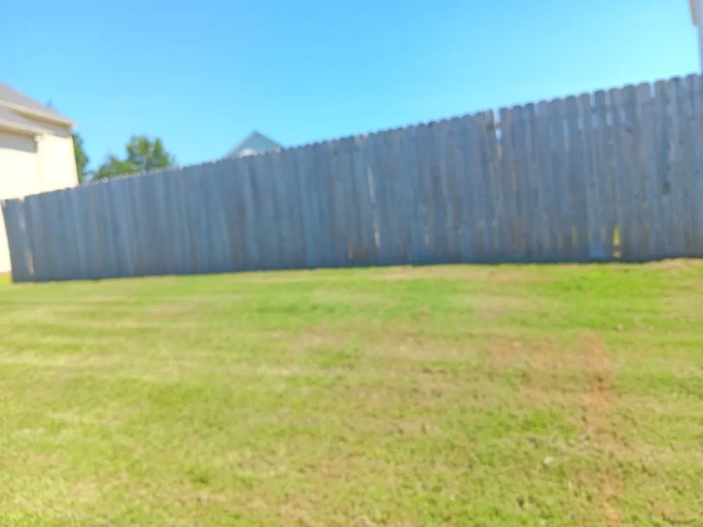 Top-rated yard cleanup service in Simpsonville, SC by Titan Landscaping and Hardscaping