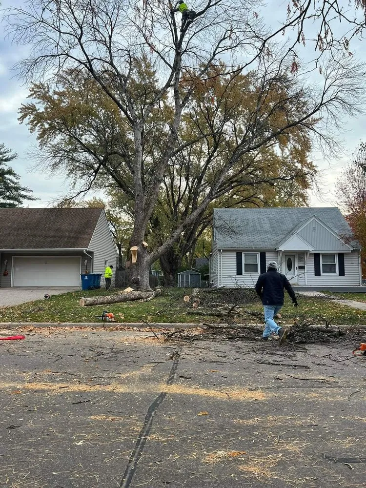 Local yard cleanup service experts serving Rosemount, MN - Titan Landscaping and Tree Service