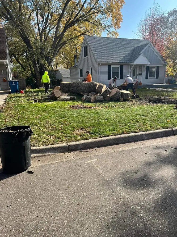 Custom yard cleanup service for residential properties in Rosemount, MN by Titan Landscaping and Tree Service
