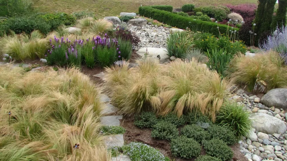 Local yard cleanup service in Fall City, WA - Titan Landscaping