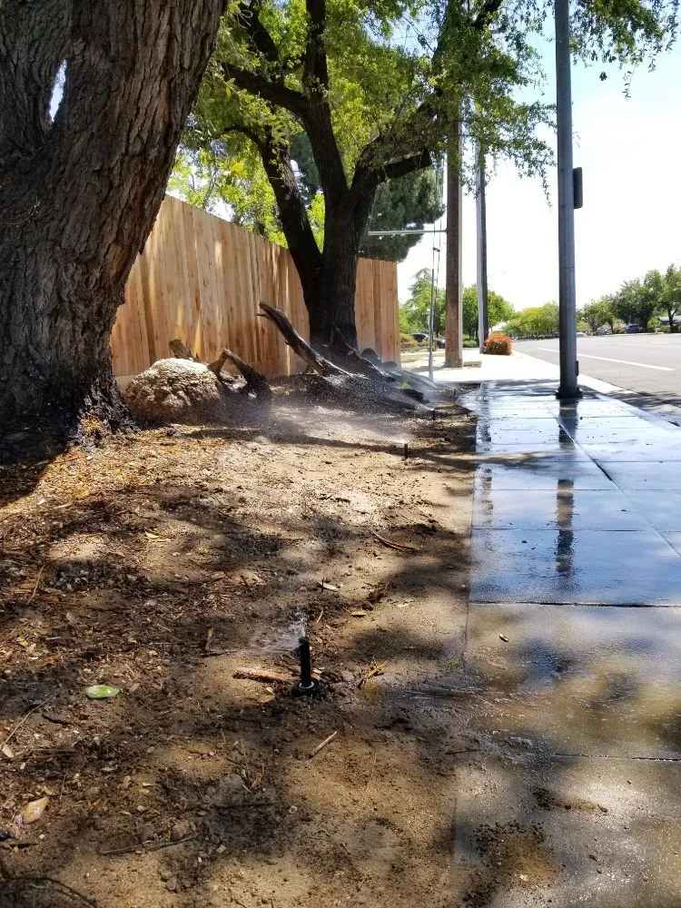 Custom lawn mowing service for homes across Fresno, CA - Titan Landscaping