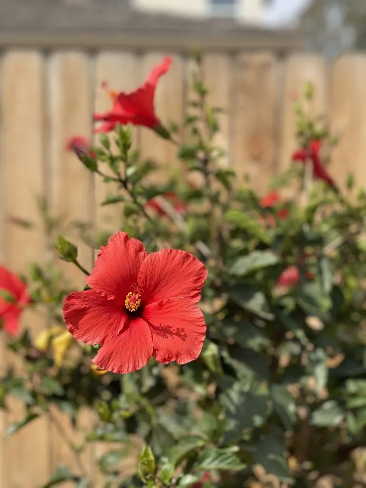 Professional garden landscaping experts serving Fresno, CA - Titan Landscaping