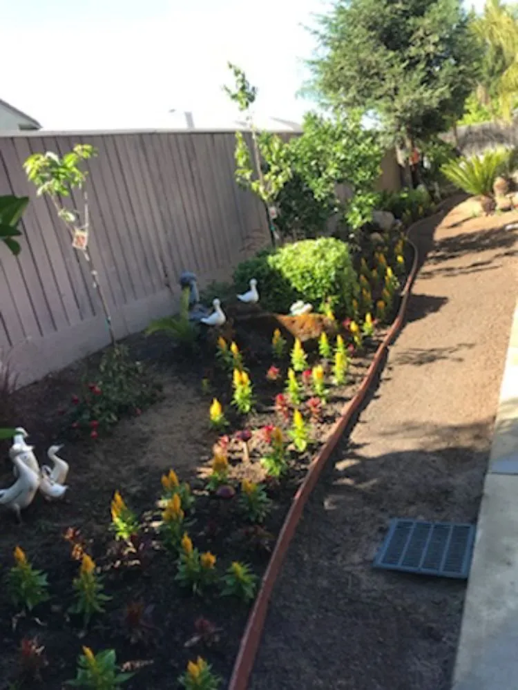 Local yard cleanup service in Fresno, CA - Titan Landscaping