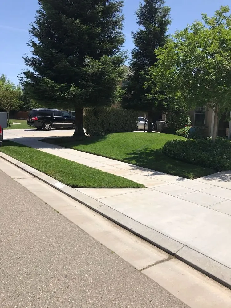 Professional landscape installation in Fresno, CA - Titan Landscaping