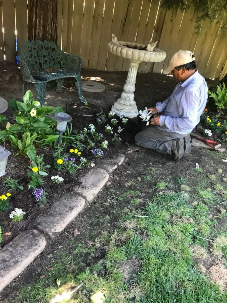 Top-rated landscape design for homes across Fresno, CA - Titan Landscaping