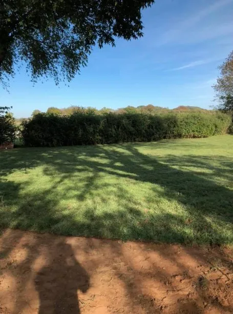 Professional yard cleanup service experts serving Wesley Chapel, FL - Titan Landscaping