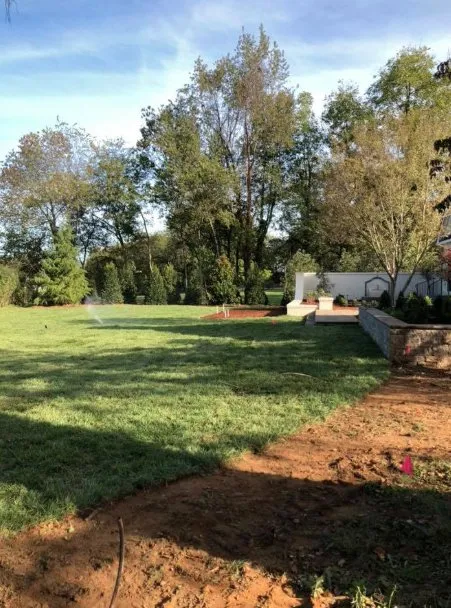 Trusted yard maintenance in Wesley Chapel, FL - Titan Landscaping