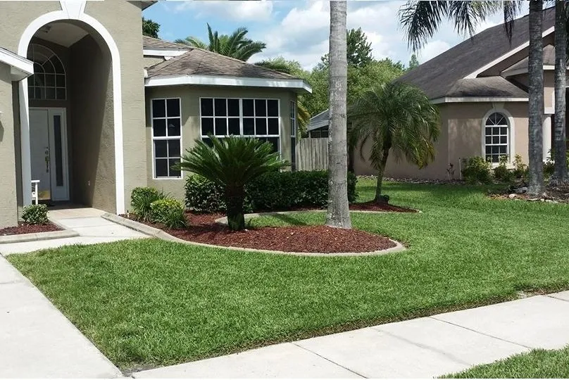 Reliable landscape design in Wesley Chapel, FL by Titan Landscaping