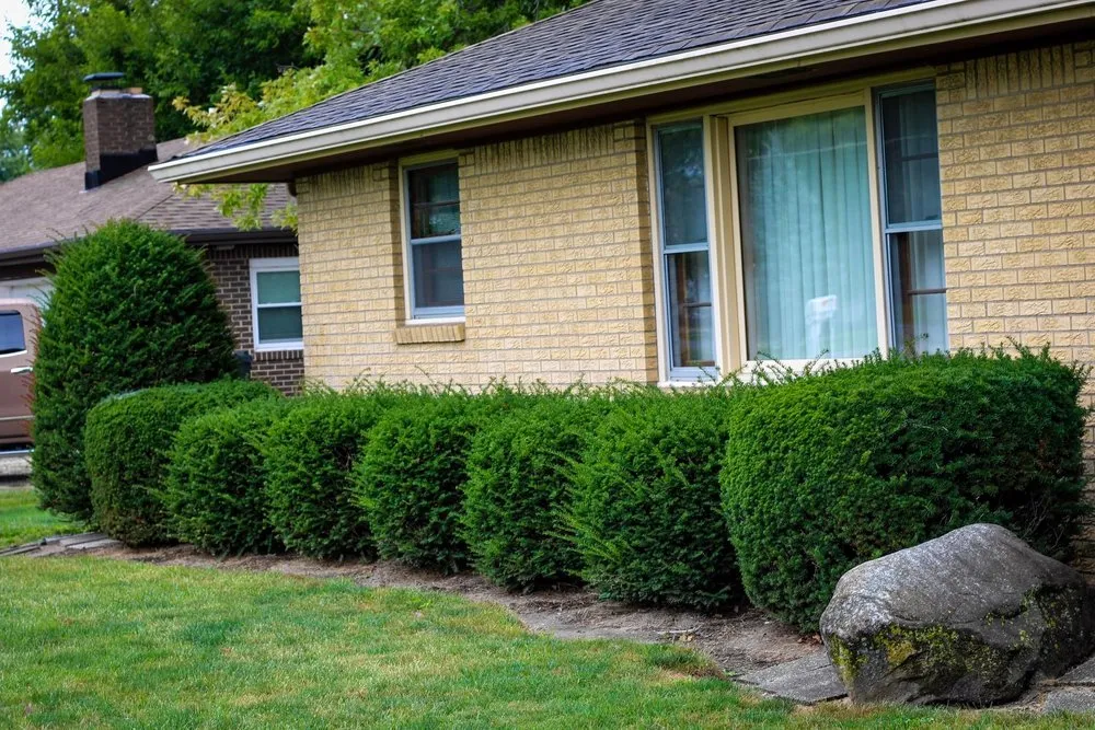 Local landscape installation in Anderson, IN - Titan Lawn Services