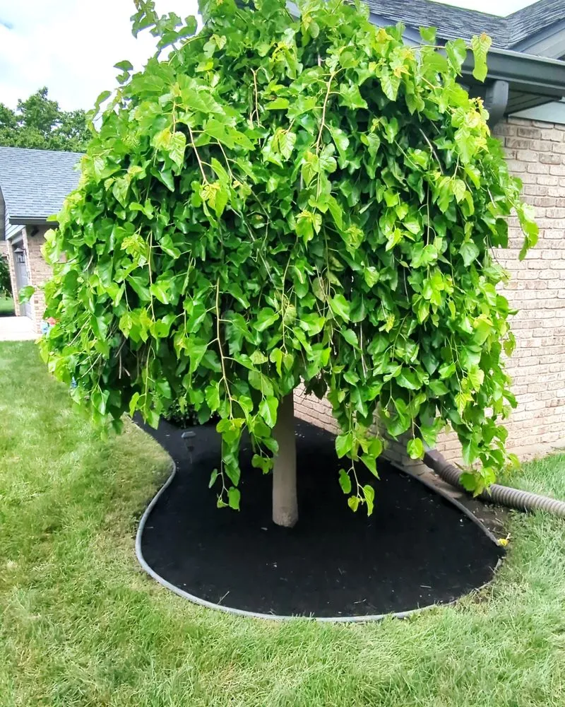 Professional landscape design in Anderson, IN by Titan Lawn Services