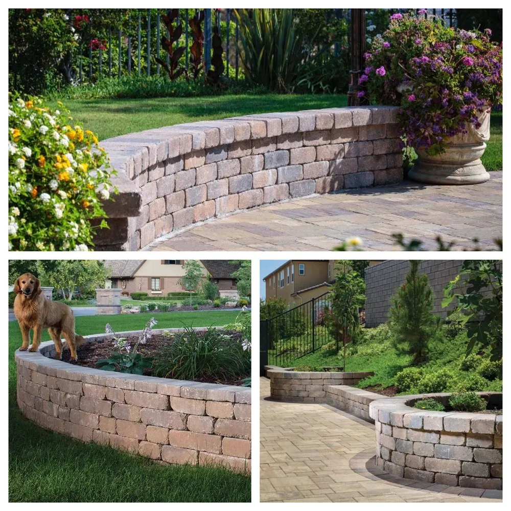 Professional yard maintenance in Los Angeles, CA - Titan Pavers